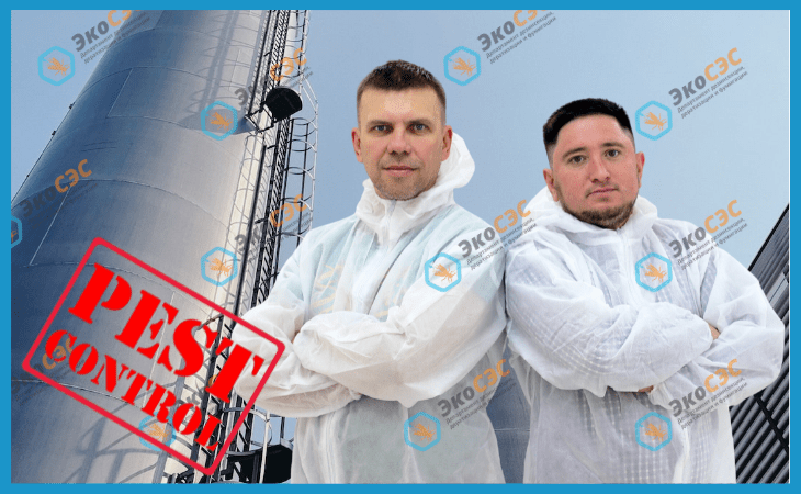 преимущества пест контроля 